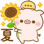 ♡夏のぽこちゃん♡