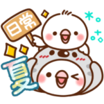 毎日しろちゃん14♥夏♥