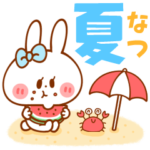 夏うさちゃん海＊花火＊暑い