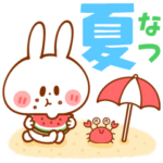 夏うさくん海・花火・暑い