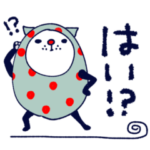 mottoのねこをまとうねこ♡毎日