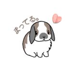 100日後にうさぎ年をかざるうさぎ