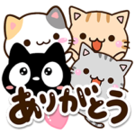 どアップなネコたち