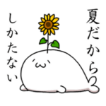 あざらしさんスタンプ夏の陣