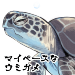 マイペースなウミガメ