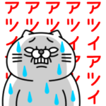 全力ねこ夏のせい編