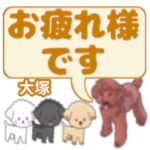 大塚「おおつか」さんのトイプードル会話