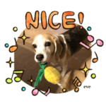 イヴちゃん特集2