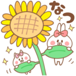 ウサコとネココの日常海や花火など