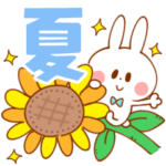 夏うさぎ