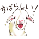 オール⭐︎こひつじちゃん