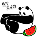 やる気のないパンダ 夏3