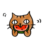 猫のトラタ7 夏