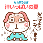 ❤️うごく！汗いっぱいの夏 
