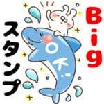 ねことうさぎの夏★