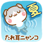 ❤️たれ耳ニャンコの夏