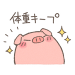 もちブタ ダイエット