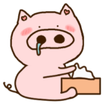 ハート耳のブタ♡6