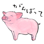 愛らしく真面目なブタさん 関西弁日常会話