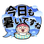 しろめちゃん　夏のお便り