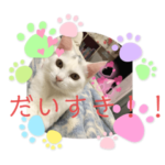 かわいい白猫スタンプ❤️２