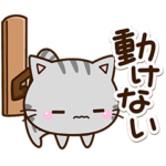 毎日元気な✨ちびアメ