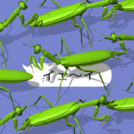 スマホの上のカマキリ《Ver. 04》