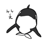 シャチときどきイルカたち