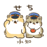 meet the heart あきお＆つがにゃん vol.2