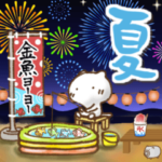 ねこっち夏の過ごし方