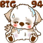 シーズー犬 94『とにかく暑い！』