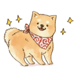 可愛い柴犬の応援スタンプ 文字なし