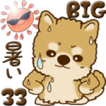 ちゃちゃ丸 33『とにかく暑い』