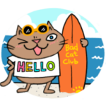 Juns の夏を楽しむ猫たち