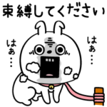 ピタうさぎ束縛狂気