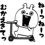 ピタうさぎわがままの極み