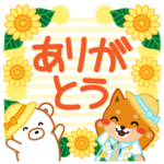 柴犬「ムサシ」４０　夏４