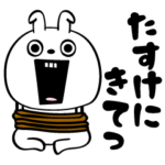 ピタうさぎよし甘えるぞ