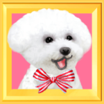 動く！ペットたち