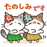 猫のコハマ＆コエリの夏スタンプ