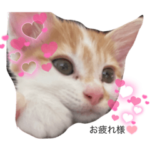 アーニャんスタンプ2