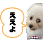 アーニャすたんぷ②