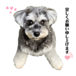 アーニャのココロ⭐︎2⭐︎