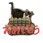 猫のアーニャくん