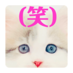 幸せの白猫アーニャ お洒落なサイベリアン5