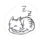 猫のアーニャン