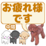 中隈「なかくま」さんのトイプードル会話