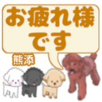 熊添「くまぞえ」さんのトイプードル会話