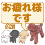 久万「くま」さんのトイプードル会話