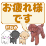 熊取谷「くまとりだに」さんのトイプードル